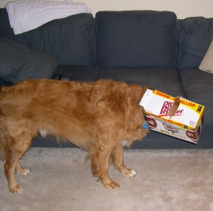 Living up to his name