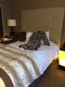 Zebra or leopard, my dear?